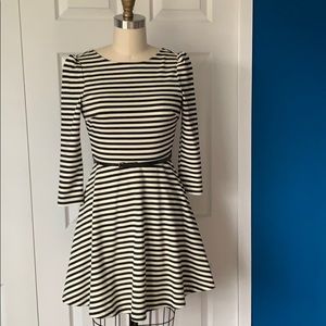 Black White Dress, Belted Skater Striped Dress